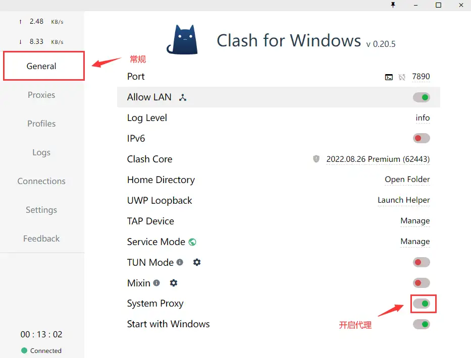 windows代理设置04